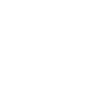 Dynamic websites developed by a leading web designing company in Bangalore, offering interactive content and personalized experiences for users